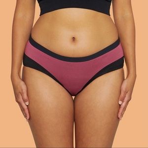 Thinx Modal Cotton Brief Period Panties